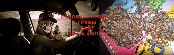 мдма Няндома