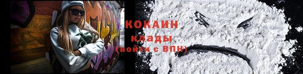 бошки Новозыбков