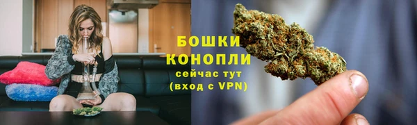 спайс Новодвинск