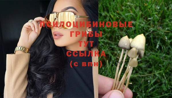 спайс Новодвинск
